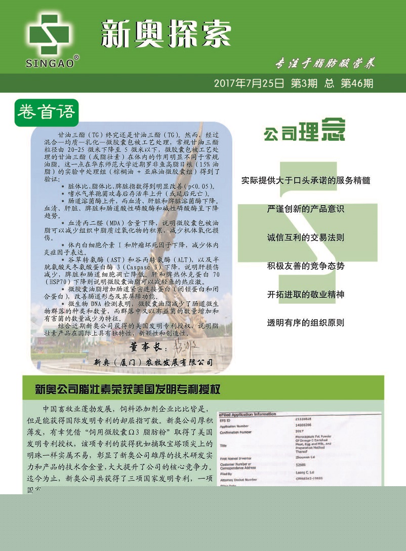 新澳大全2025正版资料,警惕虚假宣传-全面释义、解释与落实、定量解答解释落实